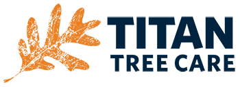Titan Tree Care Logo