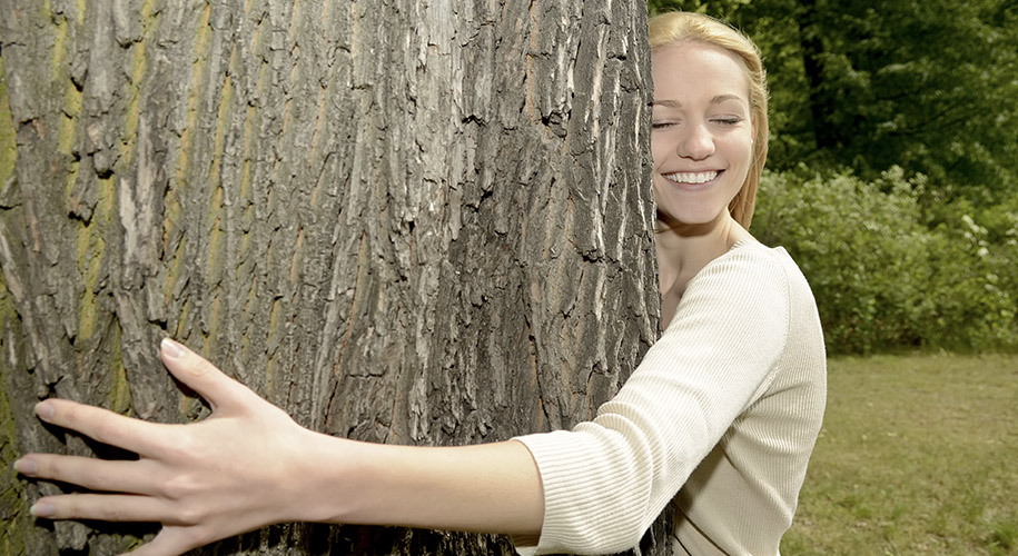Can Trees Make You Healthier Titan Tree Care