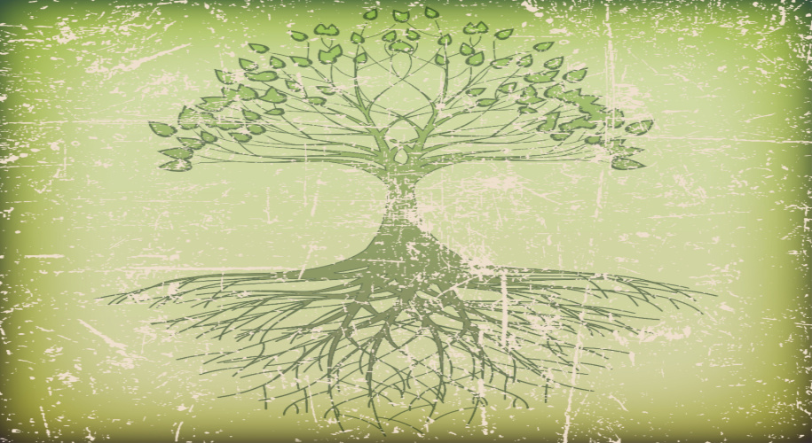 tree root graphic