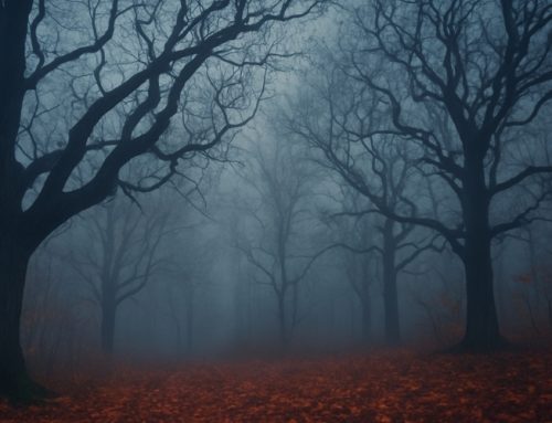 Nature’s Spooky Side: Through An Arborist’s Lens