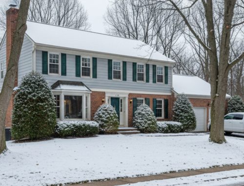 Start the New Year with Safe & Healthy Trees: Winter Tree Care Tips
