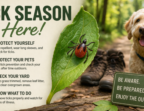 Tick Season: What Homeowners Need to Know